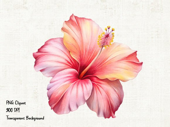 Download Pink Hibiscus Flower PNG Clipart - Premium Resources